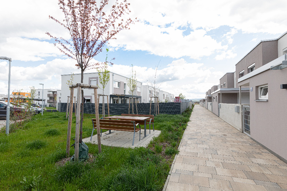 dankuechen-gartenstadt-reihenhaus-garten